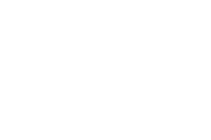 La Première Brique